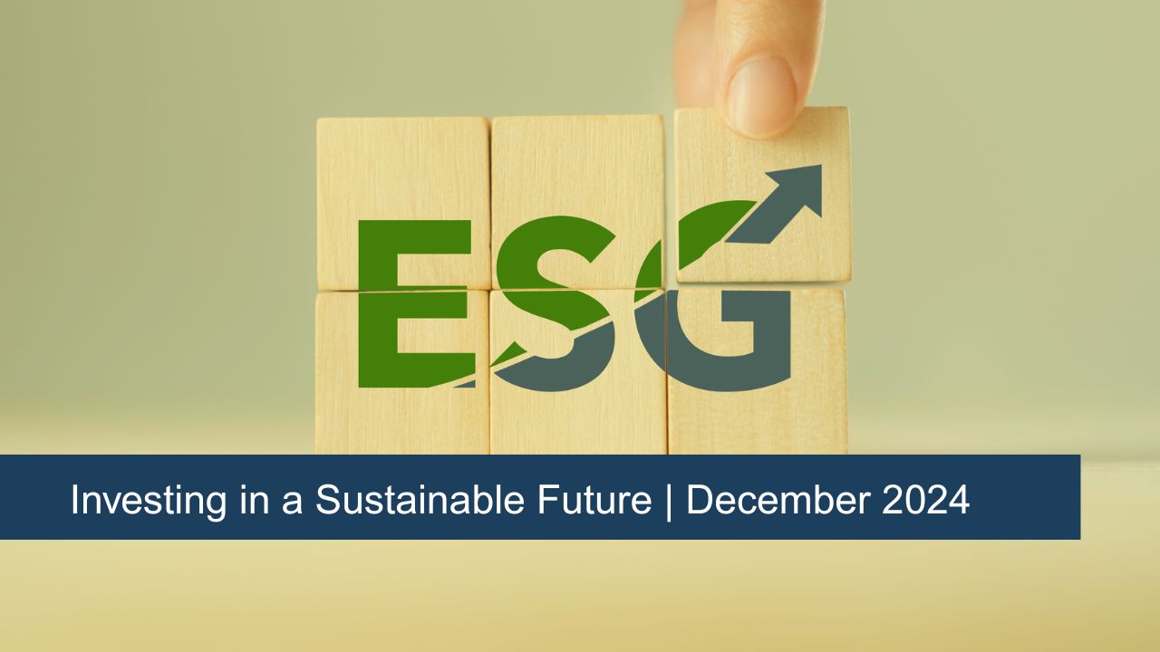 Investing in a Sustainable Future | December-2024