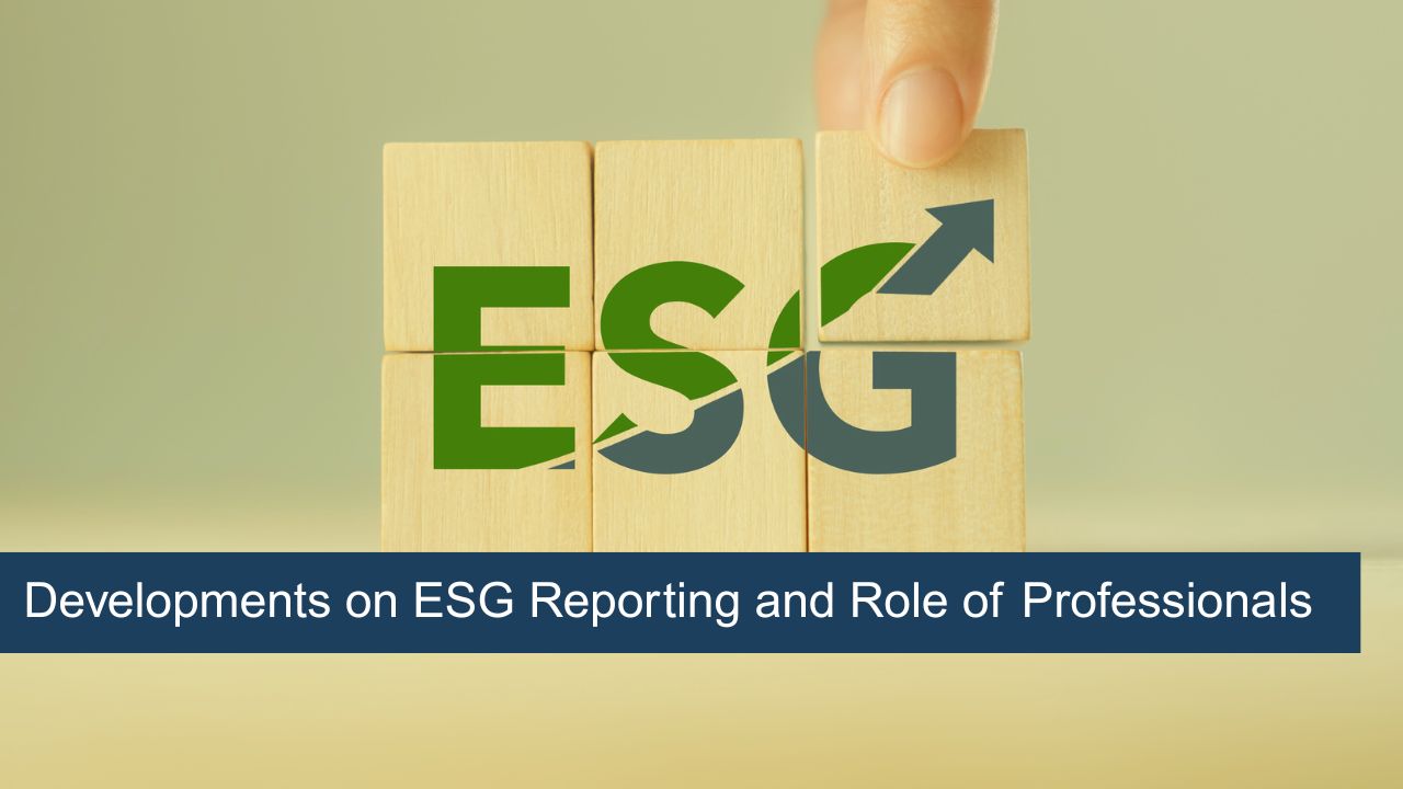 Developments on ESG Reporting and Role of Professionals